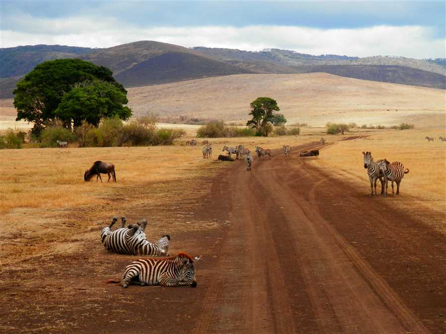Tanzania & Zanzibar